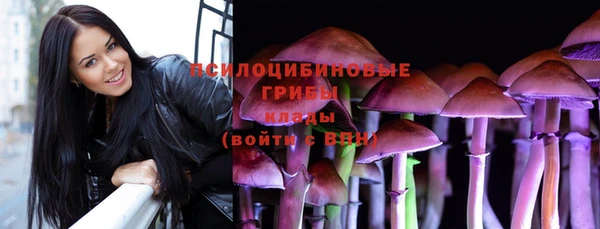 винт Арсеньев