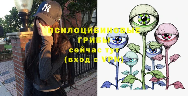 винт Арсеньев