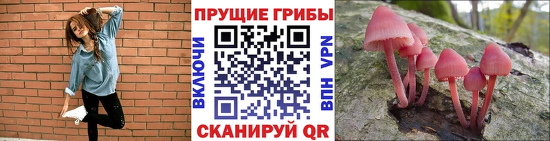 Псилоцибиновые грибы MAGIC MUSHROOMS  мега зеркало  Новоуральск  закладки 